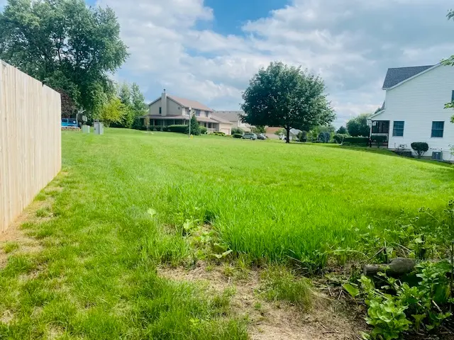 706 O'toole Drive, Minooka, IL 60447 - Image #3