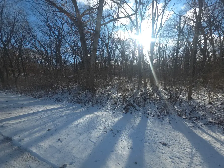 916 Missouri Drive, Dixon, IL 61021 - Image #2