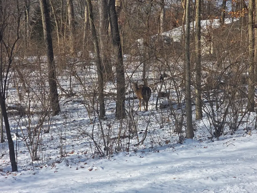 110 W Fork Road, Dixon, IL 61021 - Image #3