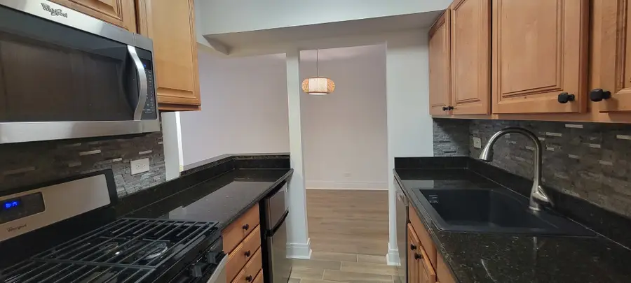 1 Oak Creek Drive #1308, Buffalo Grove, IL 60089 - Image #3