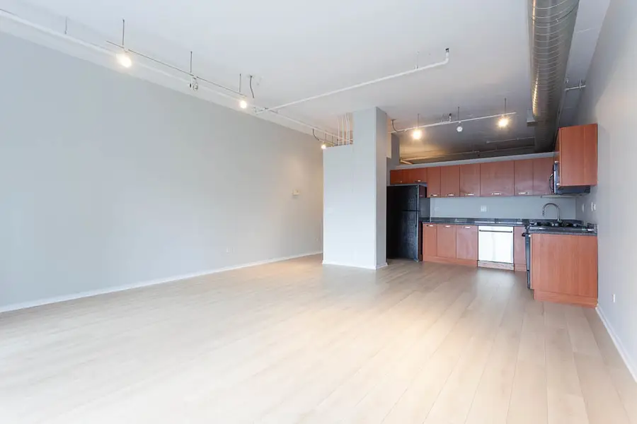 212 E Cullerton Street #410, Chicago, IL 60616 - Image #3