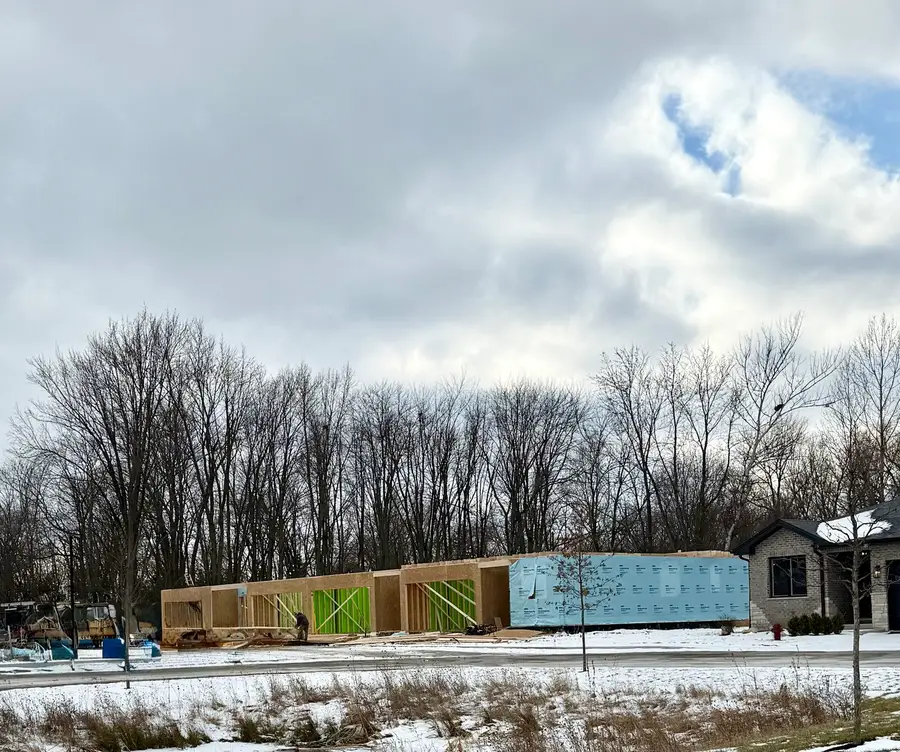 11317 1st Street, Mokena, IL 60448 - Image #2