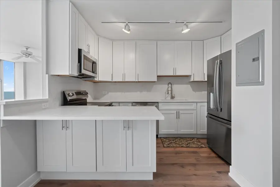 1000 N Lake Shore Drive #2302, Chicago, IL 60611 - #3