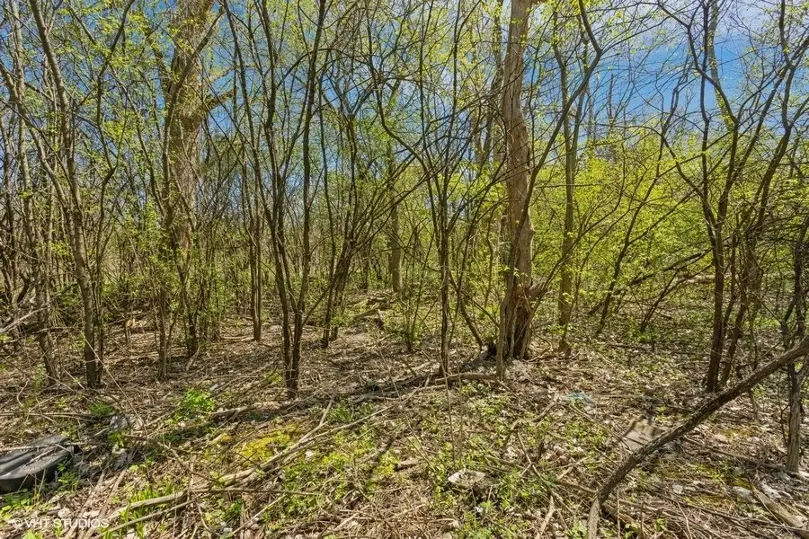 1630 Myrtle Park Street, Roselle, IL 60172 - #3