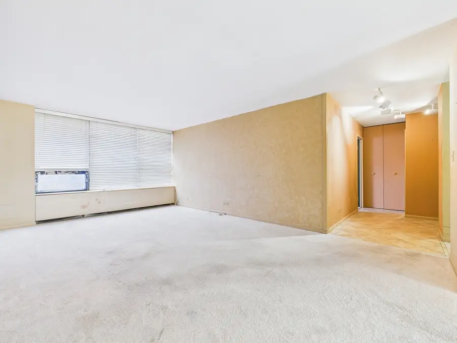 3930 N Pine Grove Avenue #2516, Chicago, IL 60613 - Image #2
