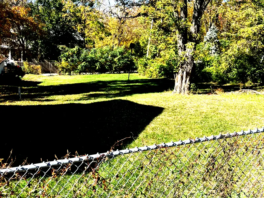 614 Czacki Street, Lemont, IL 60439 - Image #3