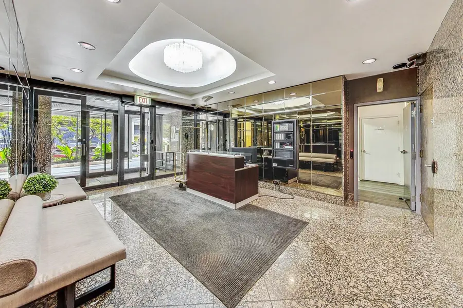 40 E Cedar Street #18B, Chicago, IL 60611 - Image #3