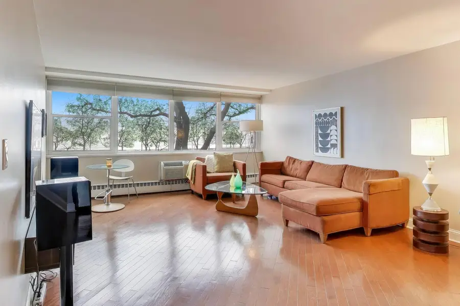 1150 N Lake Shore Drive #2B, Chicago, IL 60611 - Image #3