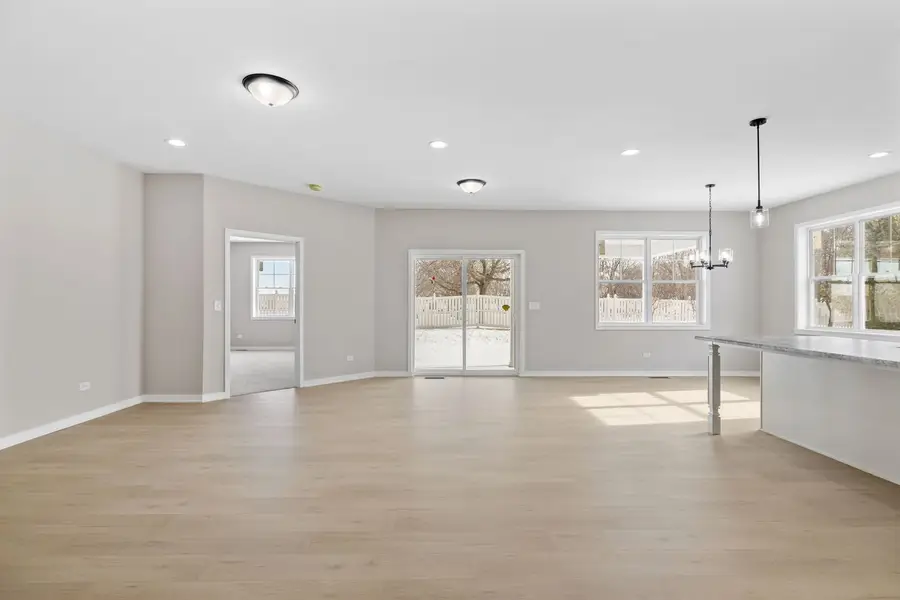 203 Hickory Street, Peotone, IL 60468 - Image #3