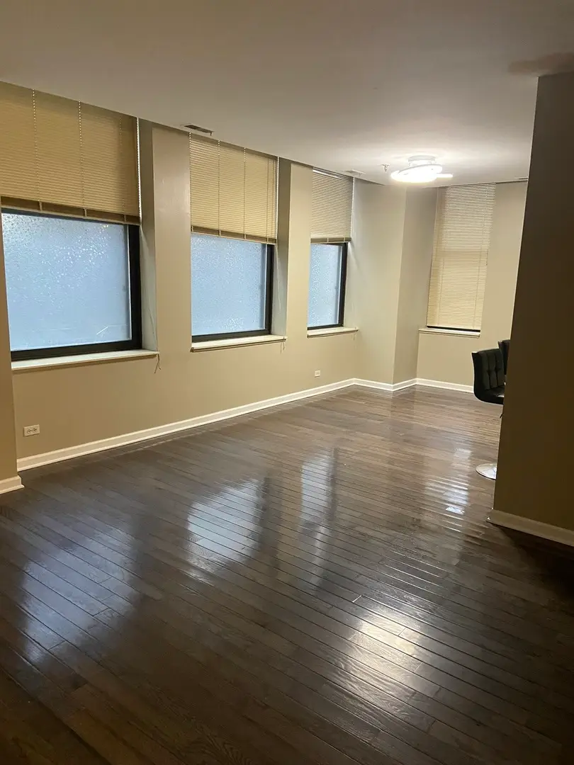 740 S Federal Street #404, Chicago, IL 60605 - #3