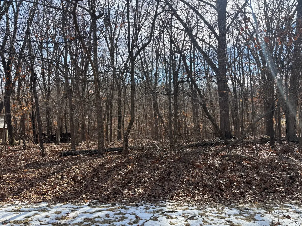 374 Bonnie Court, Varna, IL 61375 - #1