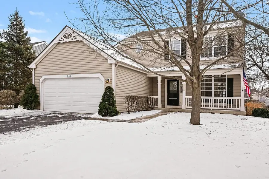 541 Wingpointe Drive, Aurora, IL 60506 - Image #2
