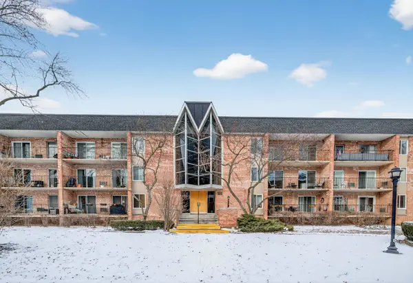 1041 N Mill Street #203, Naperville, IL 60563