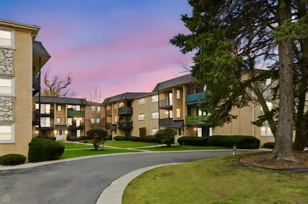 6568 W Roscoe Street #2N, Chicago, IL 60634