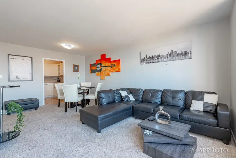 3930 N Pine Grove Avenue #2005, Chicago, IL 60613 - Image #3