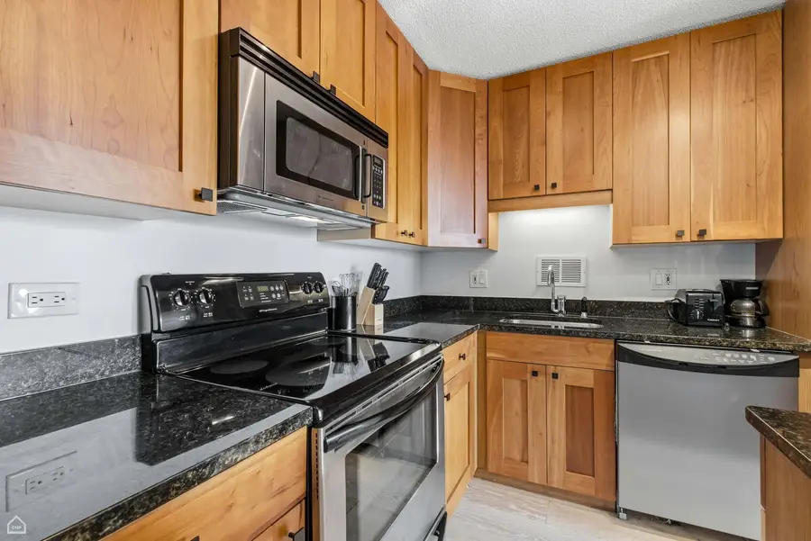 450 W Briar Place #10H, Chicago, IL 60657 - #2