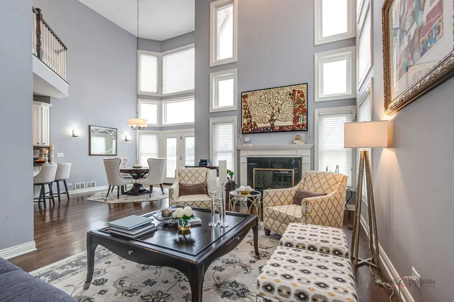 22087 W Vernon Ridge Drive, Fremont, IL 60060 - #3