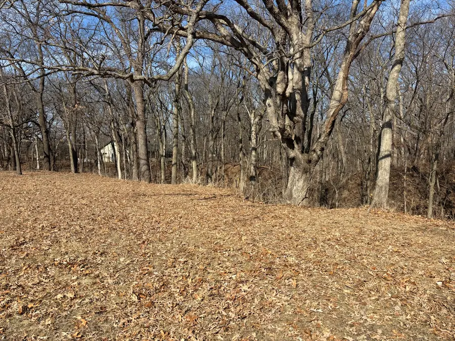 595 Cardinal Drive, Varna, IL 61375 - #2