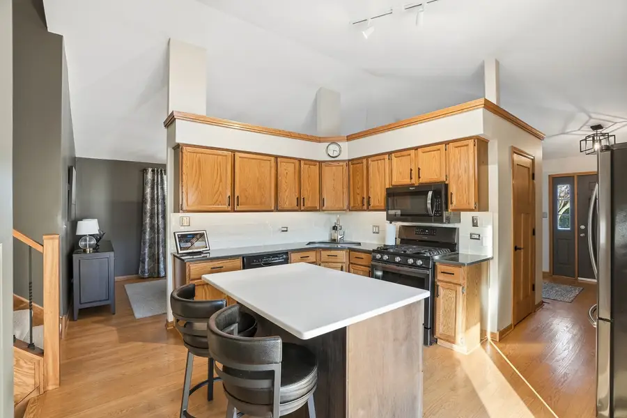 19602 Swanberg Lane, Mokena, IL 60448 - Image #3