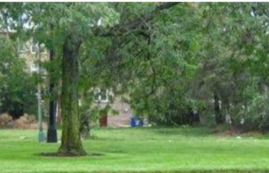 8314 S Stony Island Avenue, Chicago, IL 60617 - Image #2