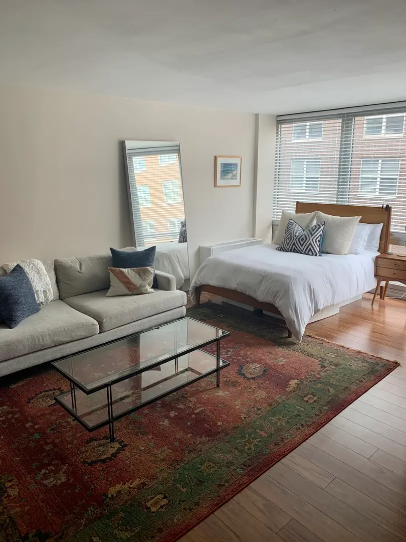 21 W Goethe Street #11E, Chicago, IL 60610 - Image #2