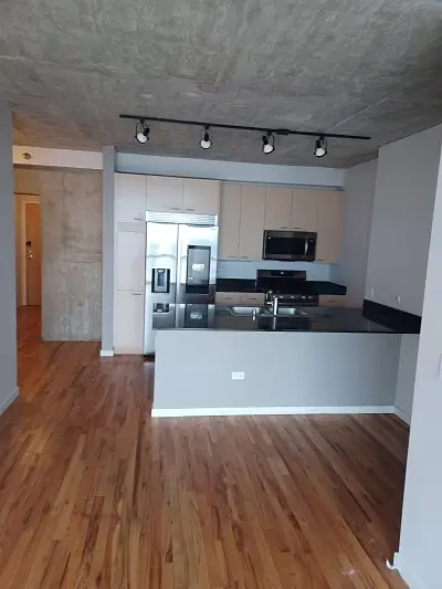 1845 S Michigan Avenue #1808, Chicago, IL 60616 - Image #3