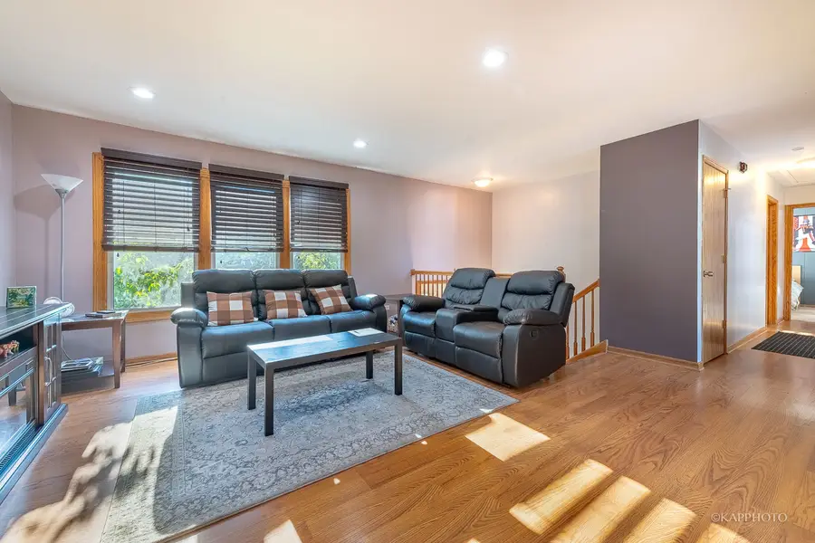 20052 S Sycamore Drive, Frankfort, IL 60423 - Image #3