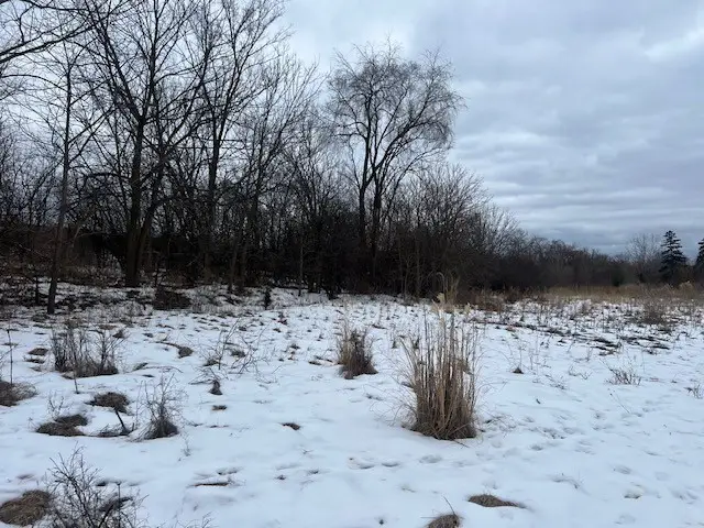 1-11 Alma Avenue, Lombard, IL 60148 - #1