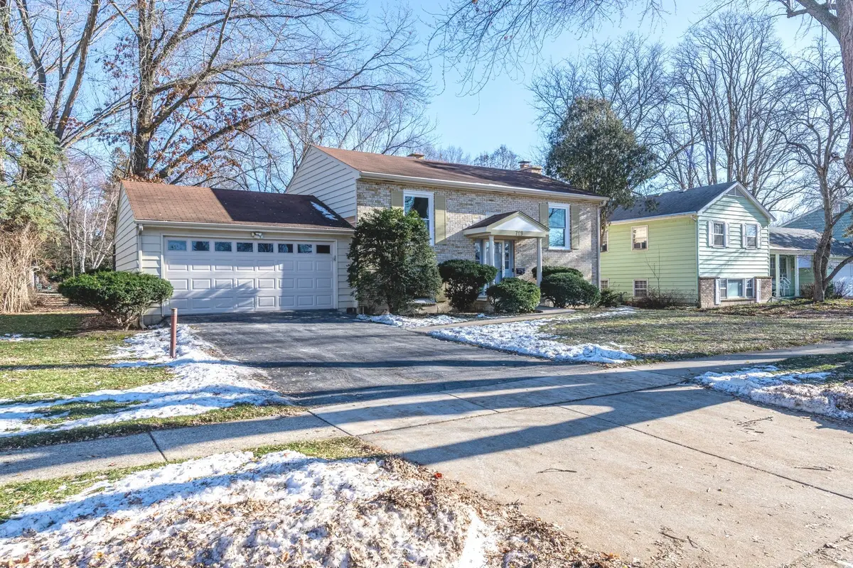 719 Webster Street, Algonquin, IL 60102 - #1