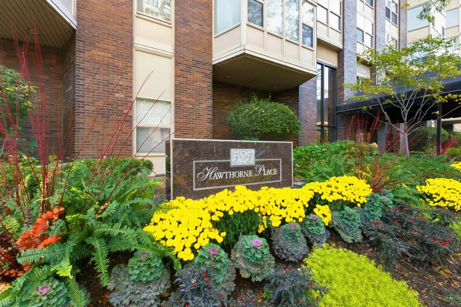 525 W Hawthorne Place #1906, Chicago, IL 60657 - #2