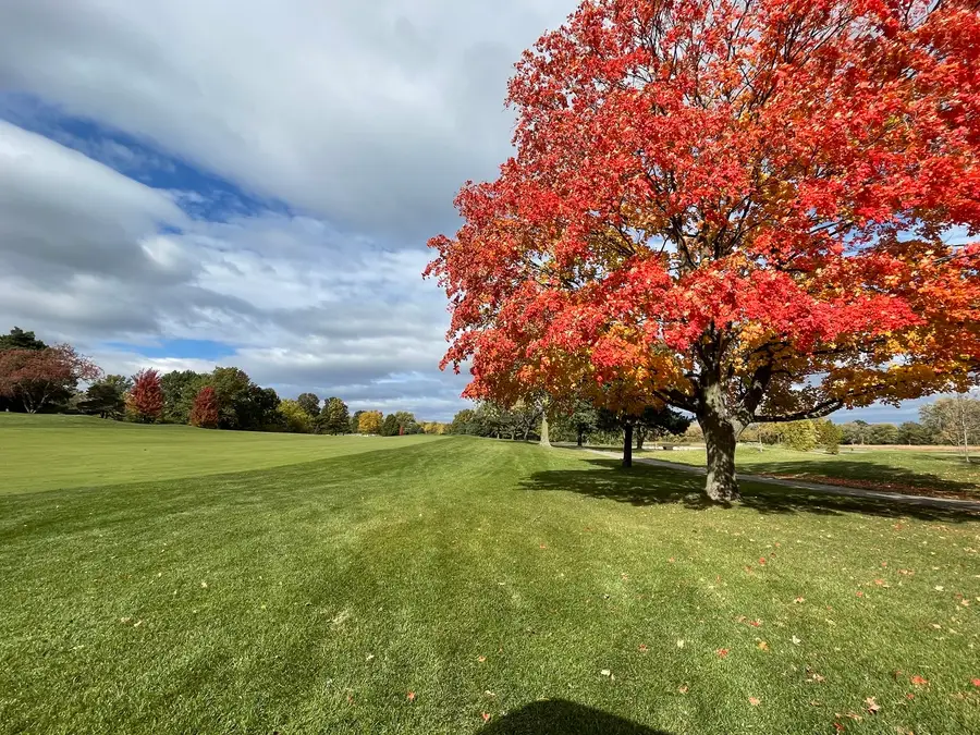 23984 N Red Oak Court, Kildeer, IL 60047 - #3