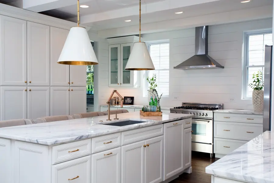 217 E Hillside Avenue, Barrington, IL 60010 - #2