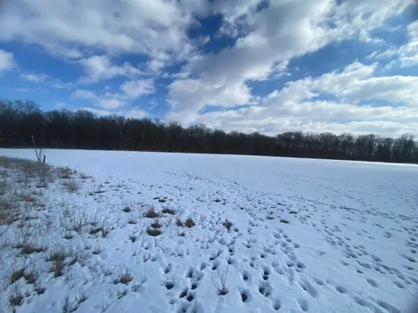 000 Highway 14 East Highway, Macedonia, IL 62860