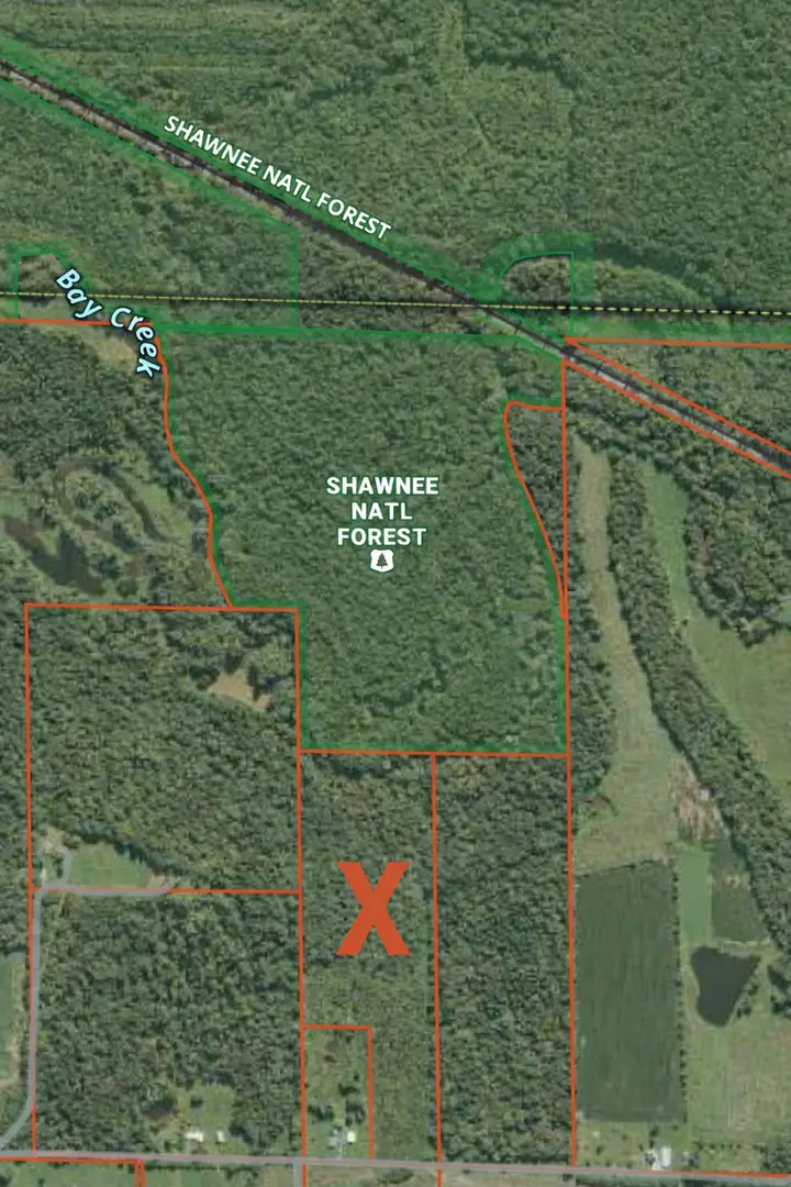 1395 Rock Springs Road, Simpson, IL 62985 - #3