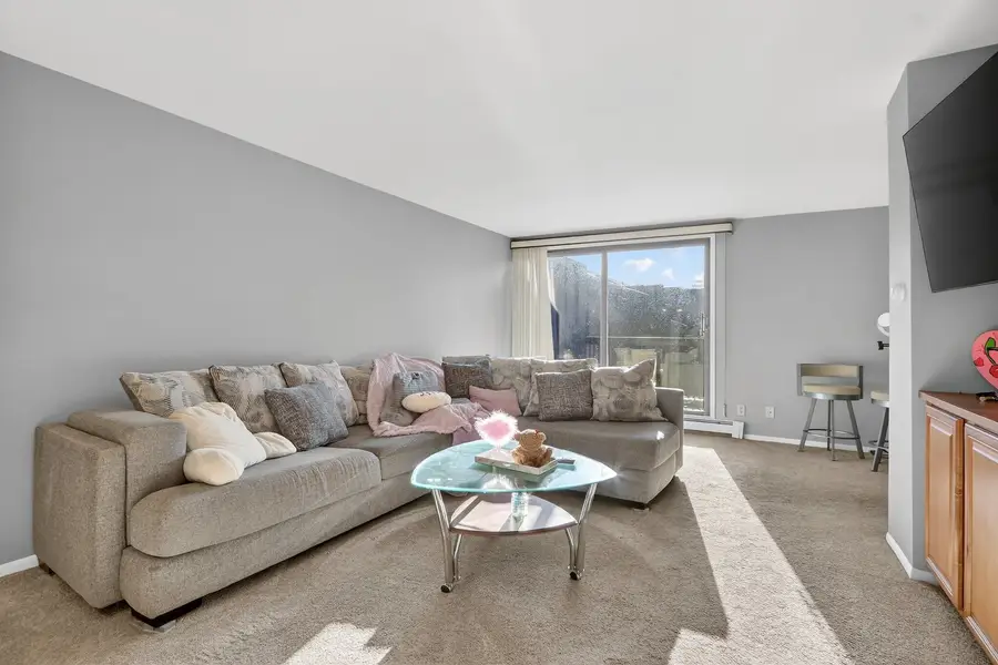 2929 Sunnyside Drive #303, Rockford, IL 61114 - #3