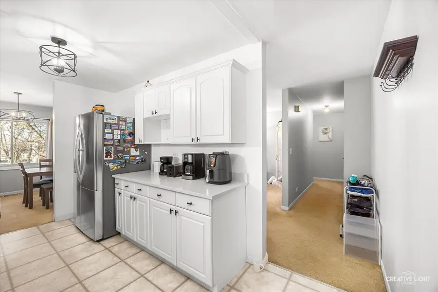 2928 Roberts Drive #8, Woodridge, IL 60517 - #3