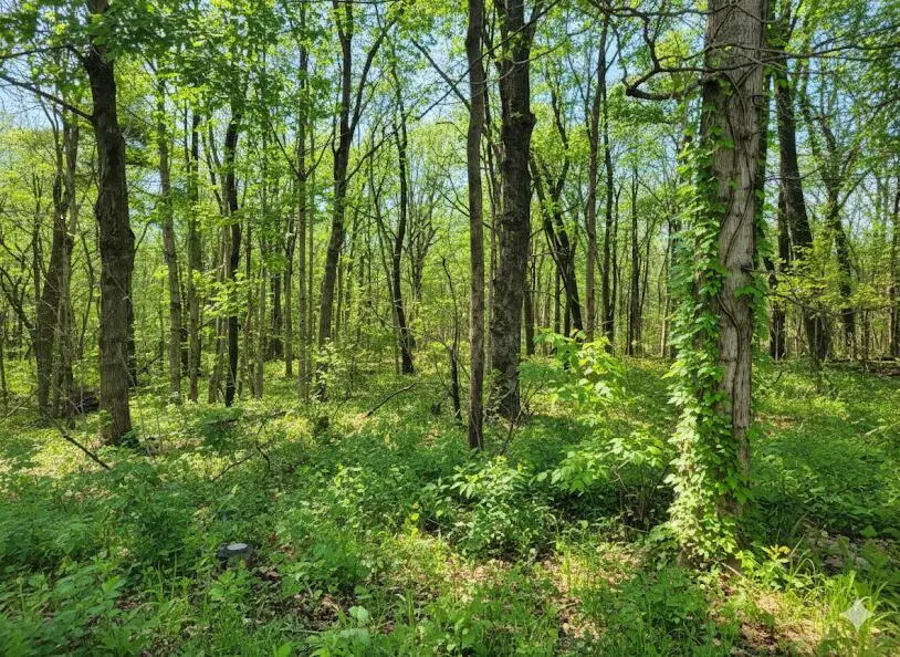 1875 Pleasant Woods Circle, Carbondale, IL 62902 - #3