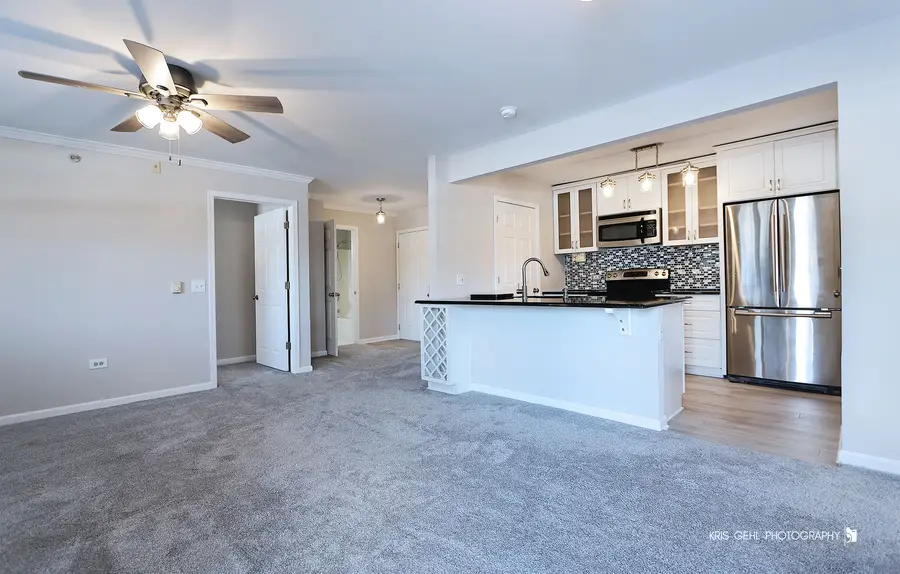 1508 Spring Brook Court #1D, Round Lake Beach, IL 60073 - #3