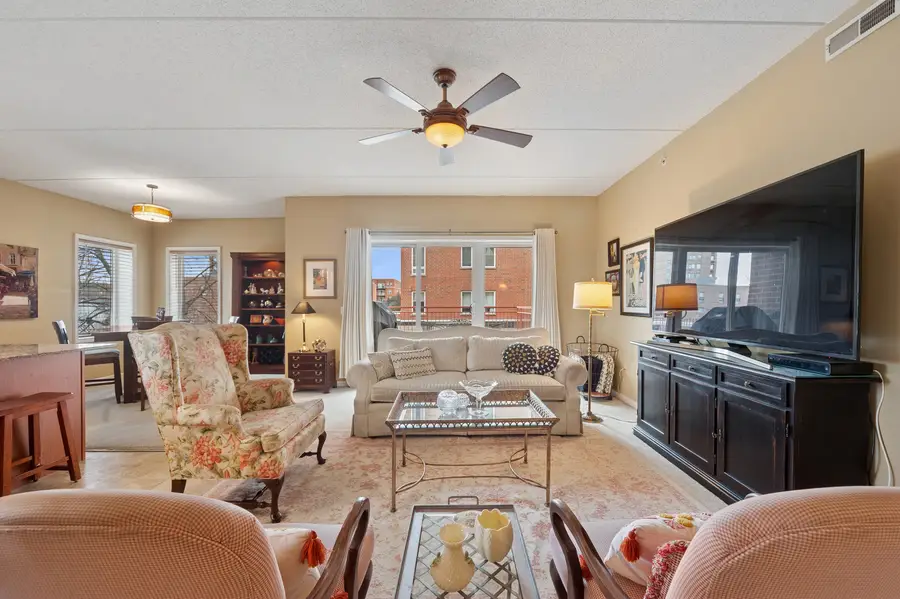 787 Graceland Avenue #202, Des Plaines, IL 60016 - #3