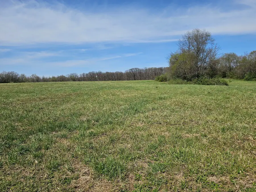 17225 N Akin Black Top Road N, Benton, IL 62812 - #2