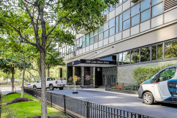 1000 N Lake Shore Drive #2009, Chicago, IL 60611