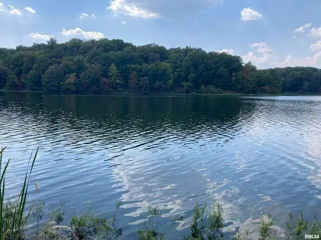 Lot 148 and Lot 501 Parrish Ridge Lane, Goreville, IL 62939 - #1