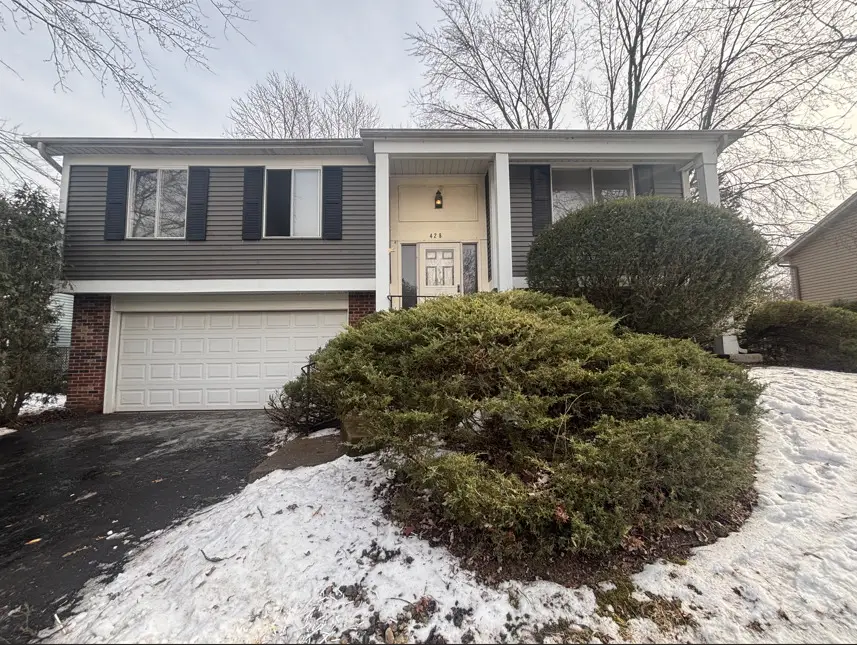 428 N Ashbury Avenue, Bolingbrook, IL 60440 - #1