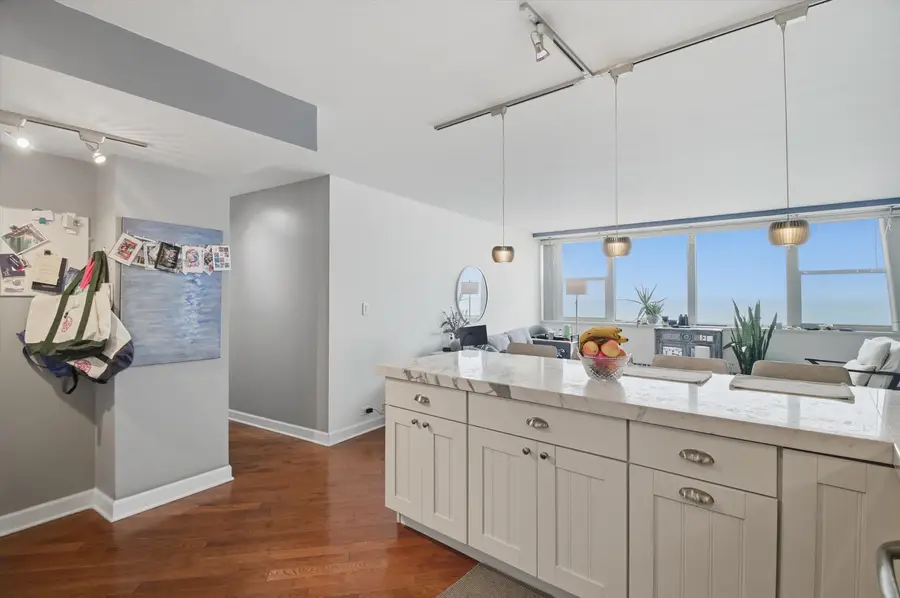 1150 N Lake Shore Drive #11D, Chicago, IL 60611 - Image #3