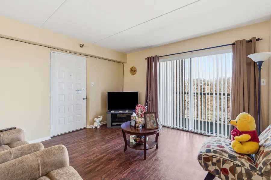 6010 Lake Bluff Drive #402, Tinley Park, IL 60477 - #3