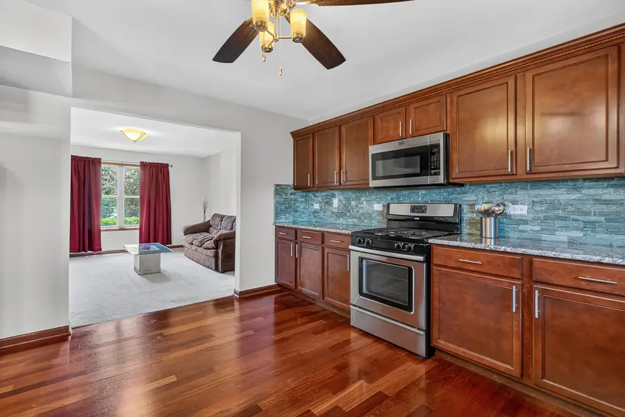 571 Northern Lights Way, New Lenox, IL 60451 - #3