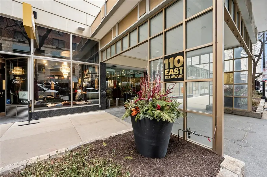 110 E Delaware Place #1702, Chicago, IL 60611 - #2