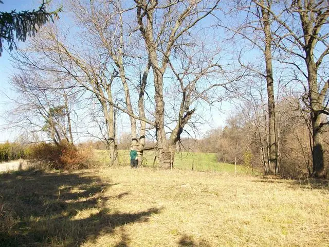 605 N Blackjack Road, Galena, IL 61036 - #3