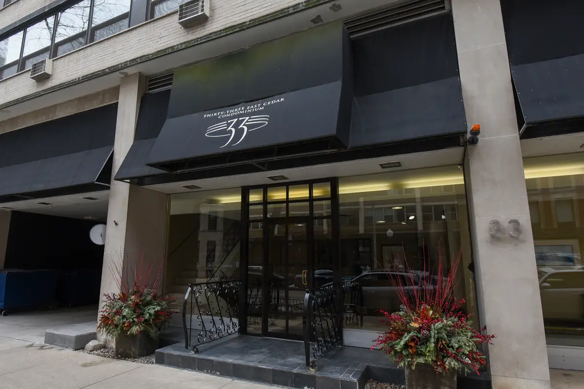 33 E Cedar Street #15F, Chicago, IL 60611 - #1