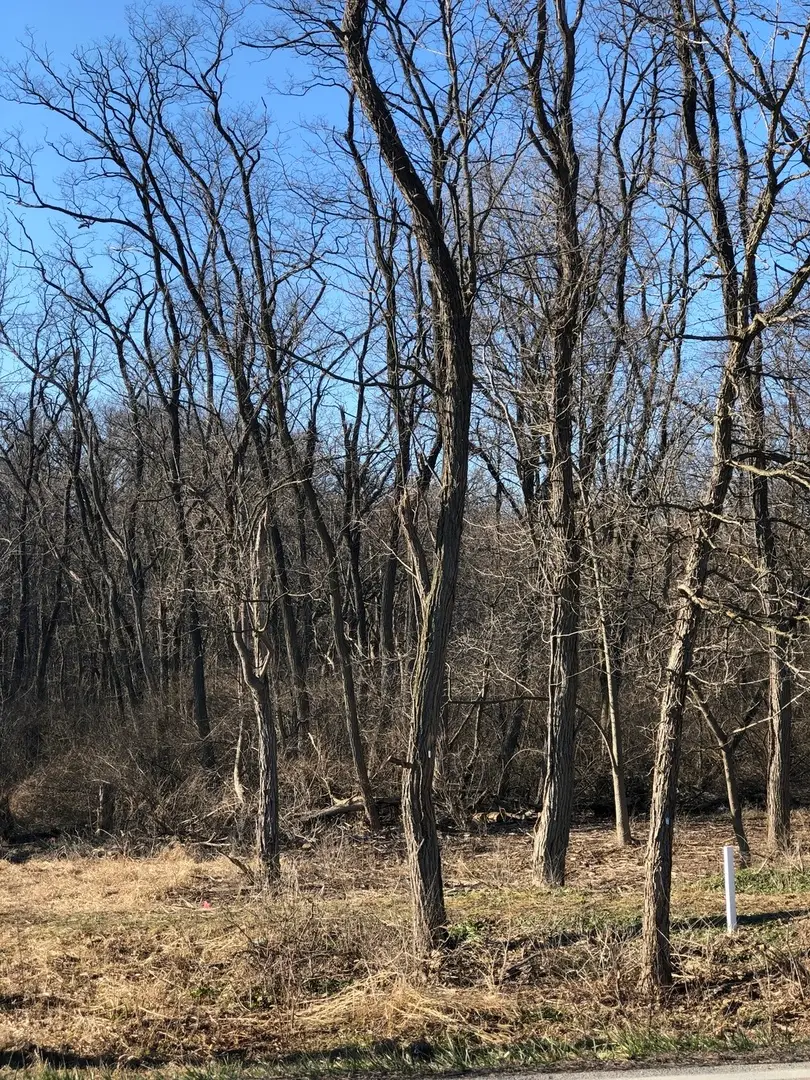 12940 Hadley #3 Hadley Road, Homer Glen, IL 60491 - #1